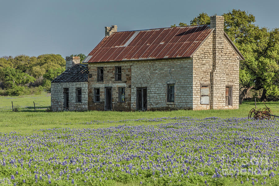 Stone Farmhouse in a Bluebonnet Field Photograph by Teresa Wilson
