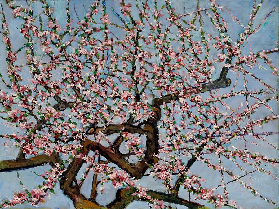 Tree Painting - Stone Fruit Cherry by Robert James Hacunda