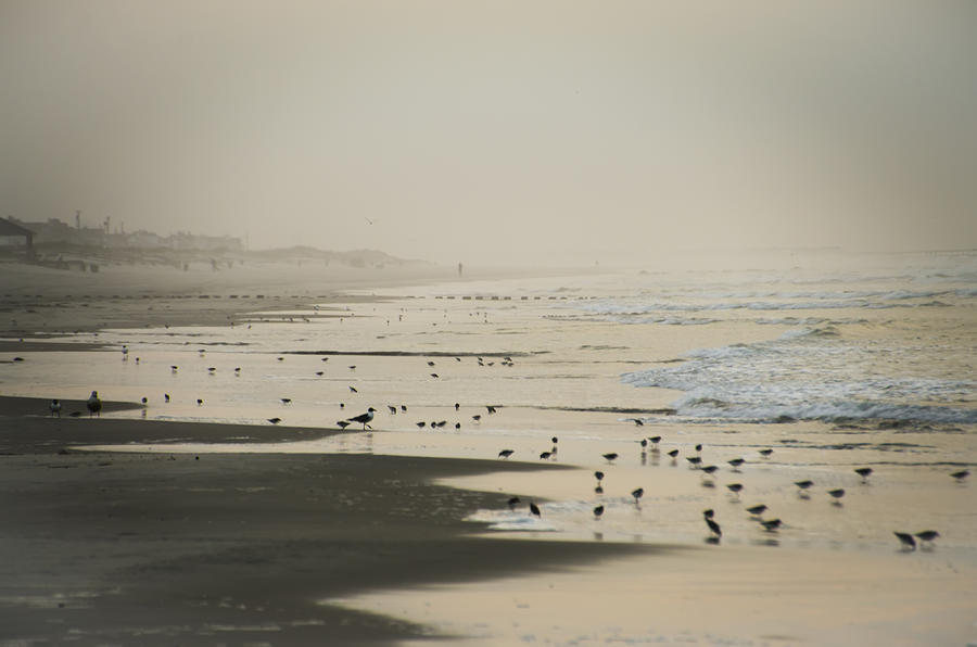 Stone Harbor Beach Photograph by Bill Cannon