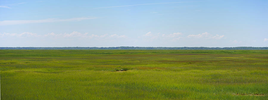Stone Harbor Wetlands Photograph by Richard Reeve