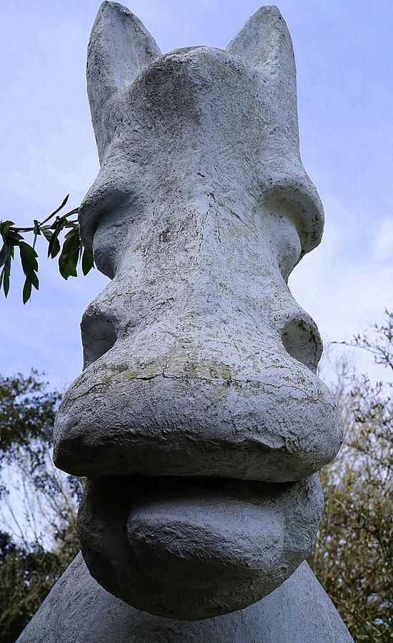 Architecture Photograph - Stone Horse by Laurie Perry