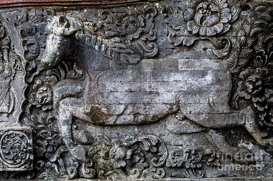 Horse Photograph - Stone Horse Temple Carving by M G Whittingham
