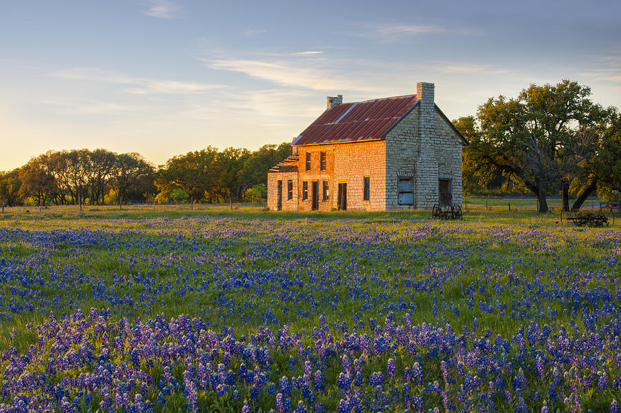 Bluebonnets Photograph - Stone House with Bluebonnets 2 by Rob Greebon
