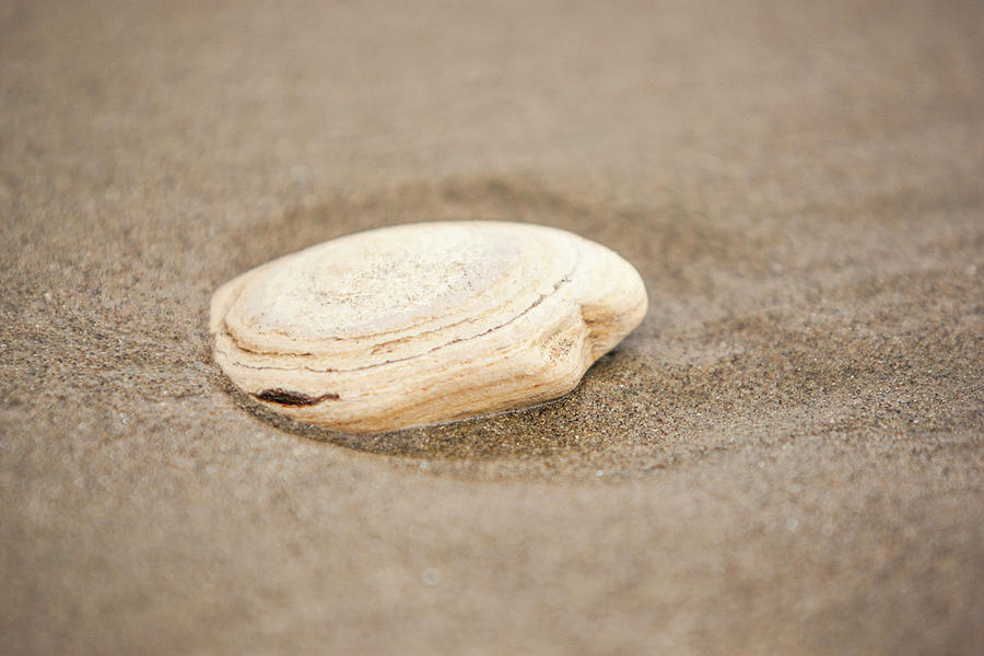 Stone in the sand Photograph by Jason Hughes