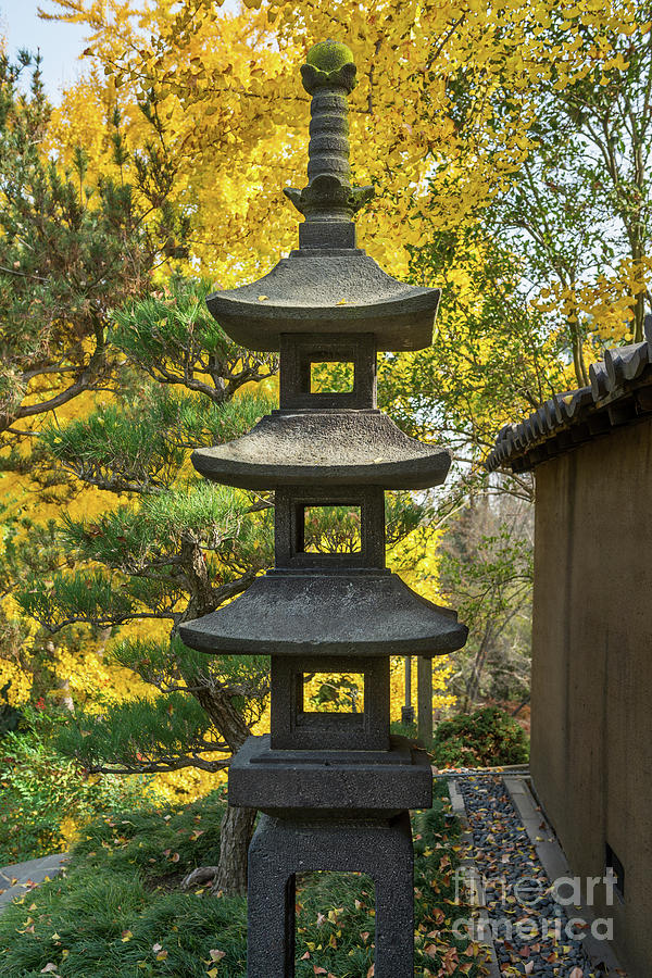 Fall Photograph - Stone Lantern Fall by Jamie Pham