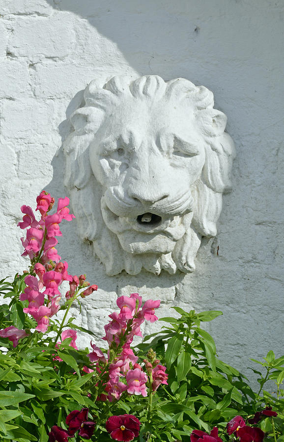 Stone Lion Head With Flowers Photograph by Bruce Gourley