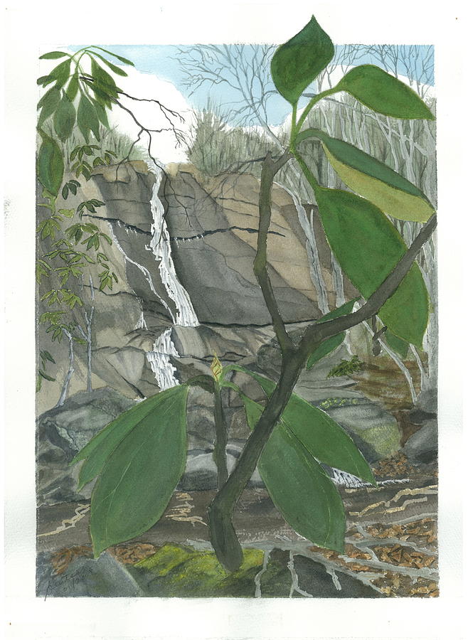 Stone Mountain Falls - the Upper Cascade - IV Painting by Joel Deutsch