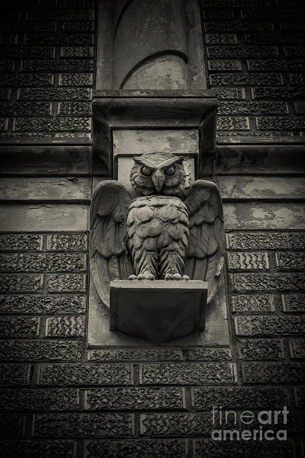 Architecture Photograph - Stone Owl by Ashley M Conger