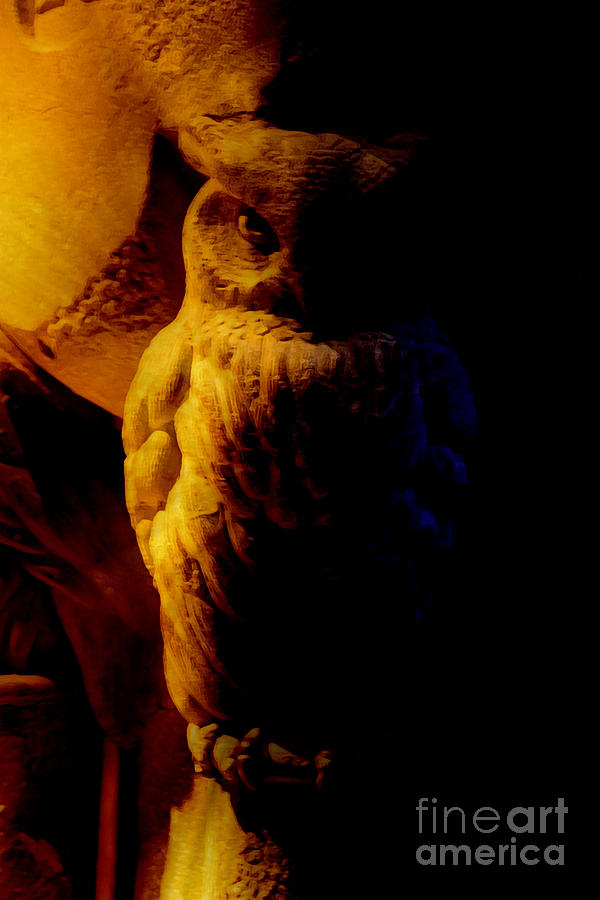 Stone Owl of Hogwarts Digital Art by Roger Lighterness