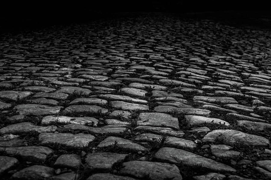 Stone Path Photograph by Doug Camara