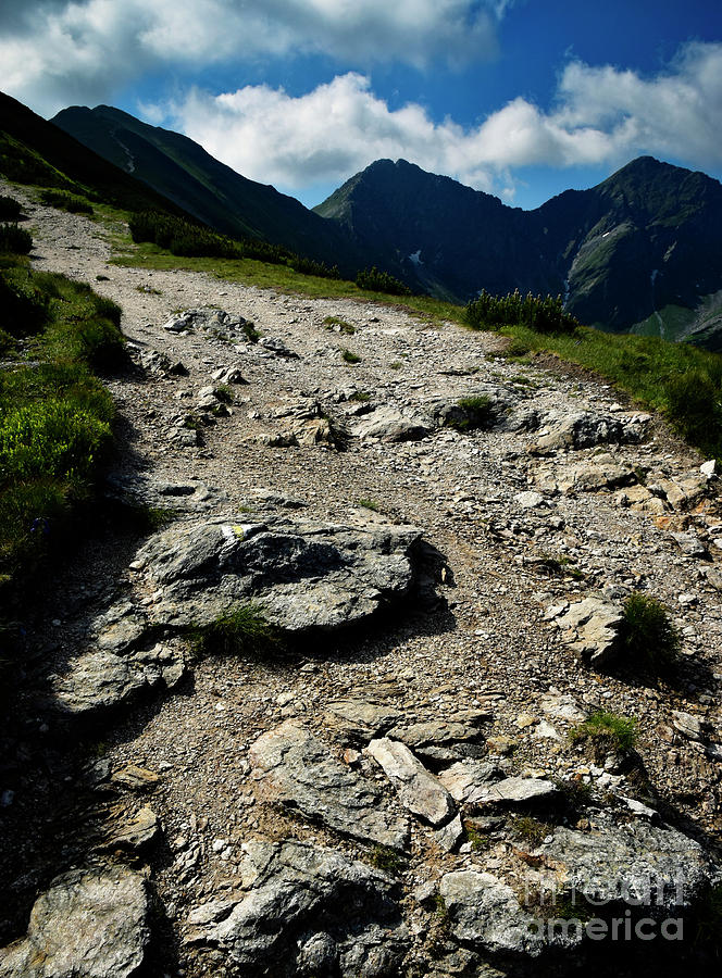 Mountain Photograph - Stone Pavement High In The Mountains by Jozef Jankola