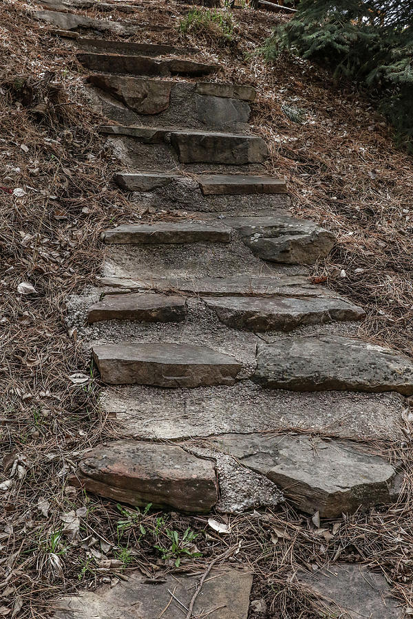 Stone Stairs Photograph by Amanda Armstrong