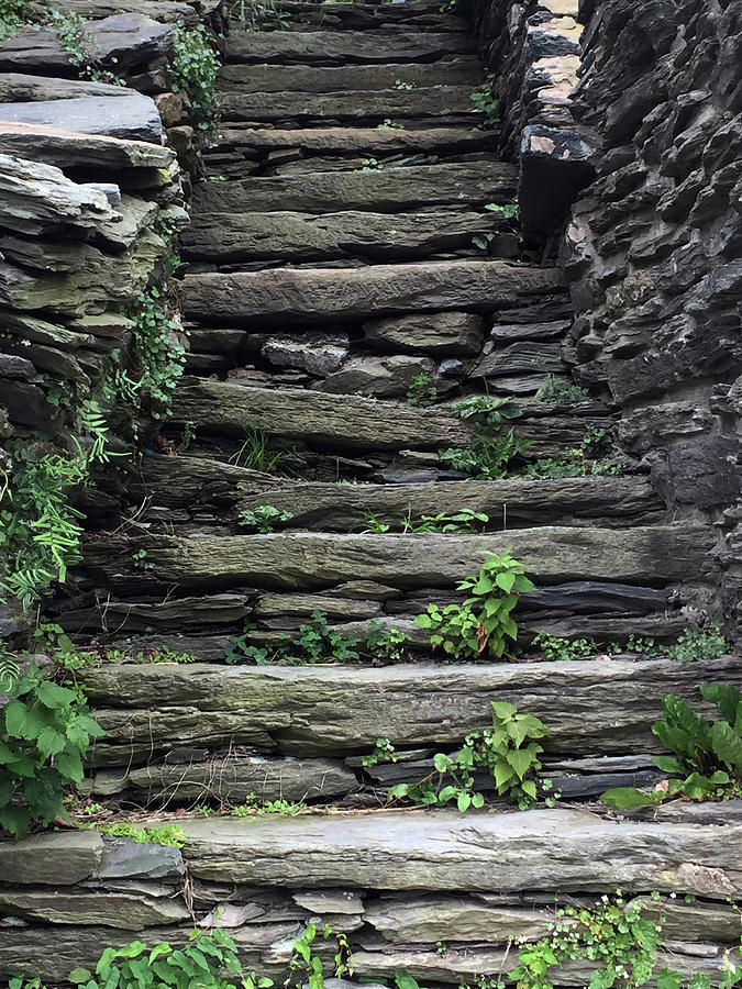 Stone Stairway Photograph by David T Wilkinson
