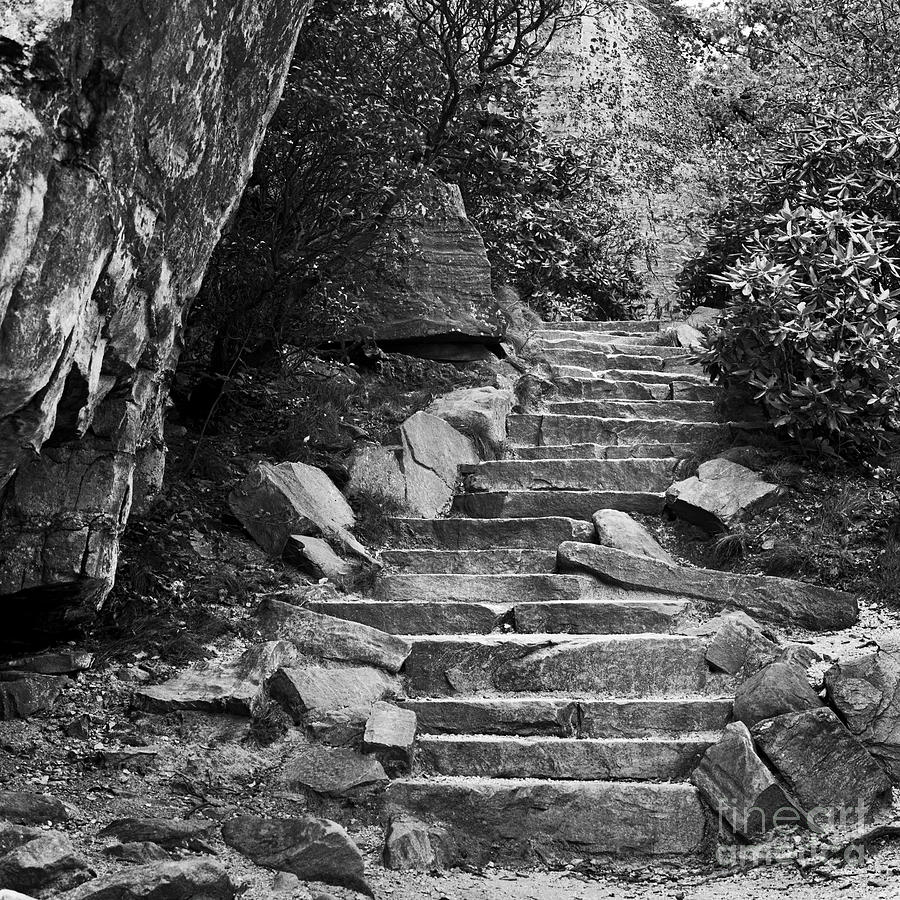 Black And White Photograph - Stone stairway by Patrick Lynch