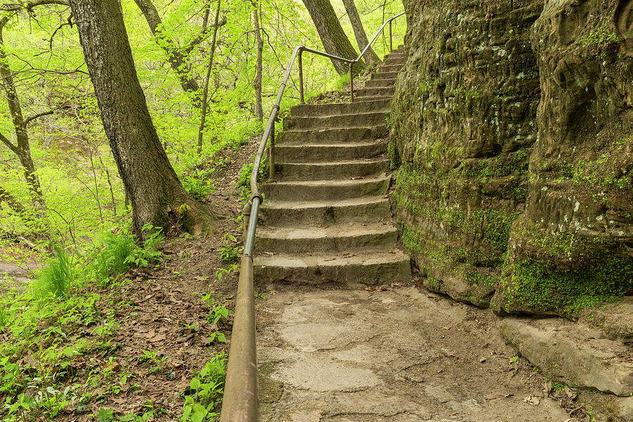 Nature Photograph - Stone Step Trail 8 by John Brueske