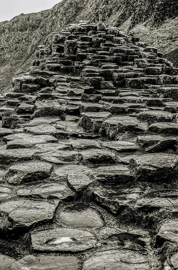 Stone Steps Giants Causeway Photograph by Lexa Harpell