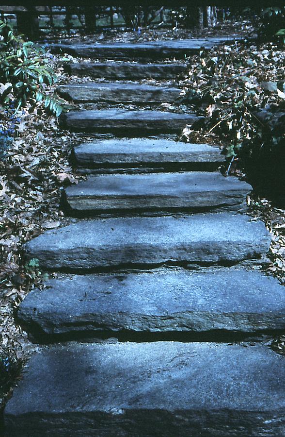 Steps Photograph - Stone Steps Jones Library Amherst Massachusetts by John Power