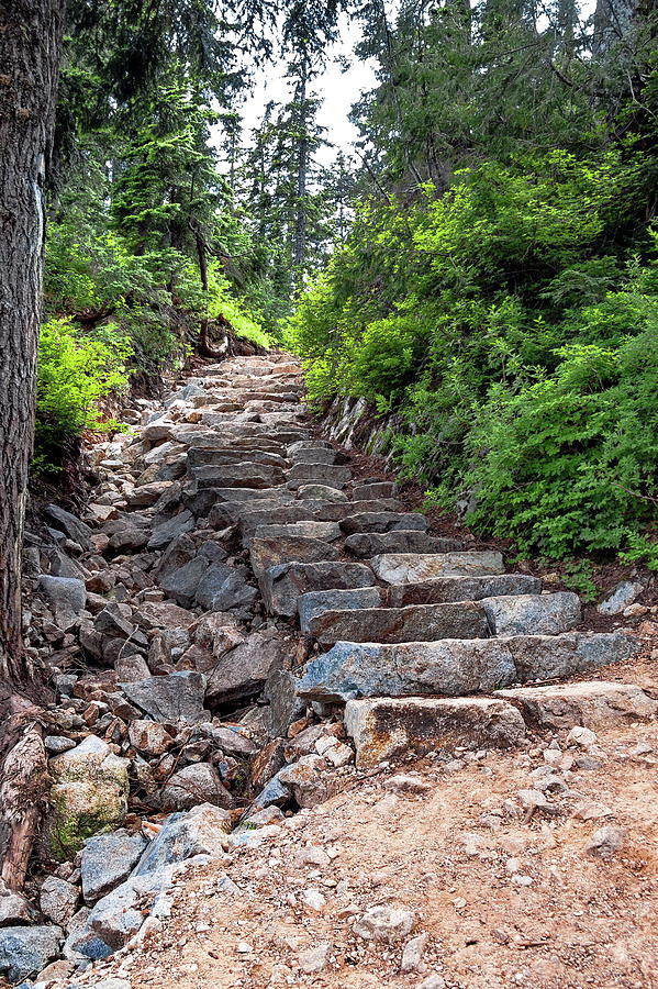 Stone Steps on the Hiking Trail  Photograph by Alex Lyubar