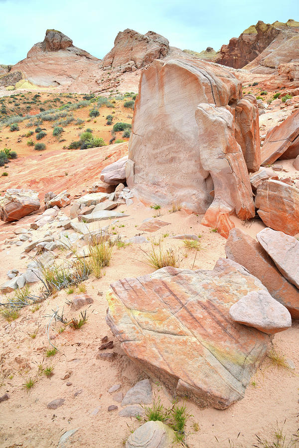 Stone Tablet in Valley of Fire Photograph by Ray Mathis