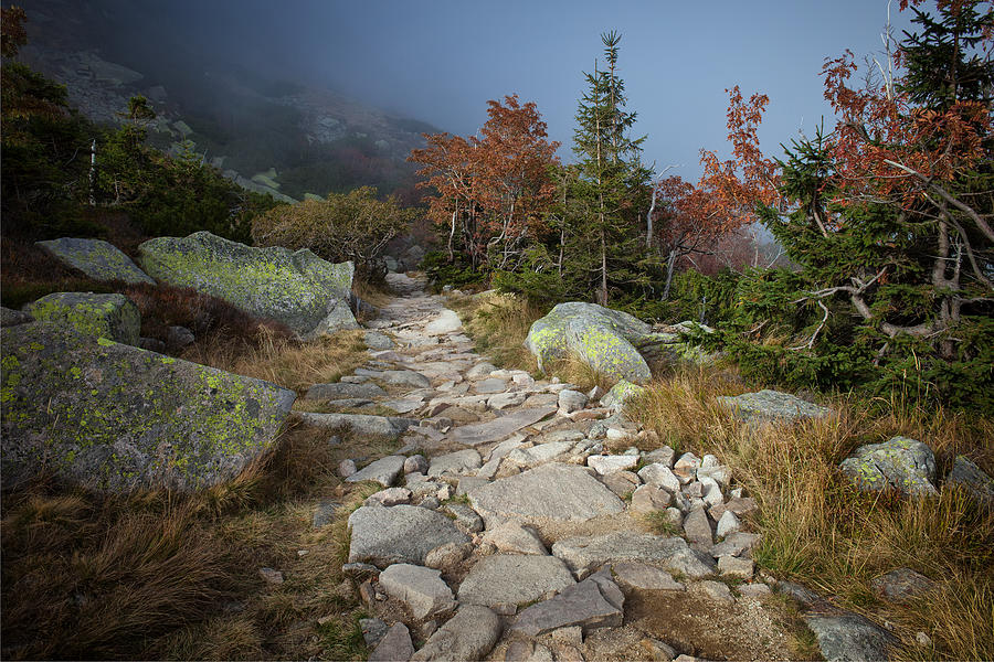 Stone Trail in the Mountains Photograph by Artur Bogacki