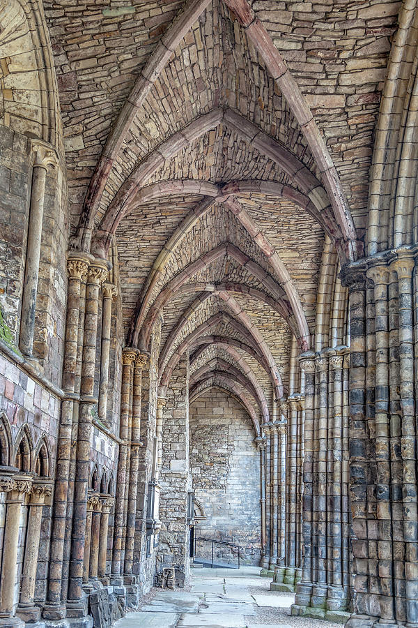 Stone vaulted nave of Holyrood Abbey Photograph by W Chris Fooshee