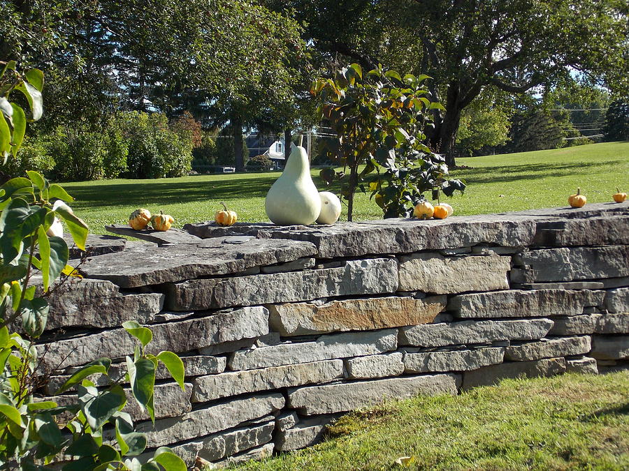 Stone Wall Photograph by Catherine Gagne