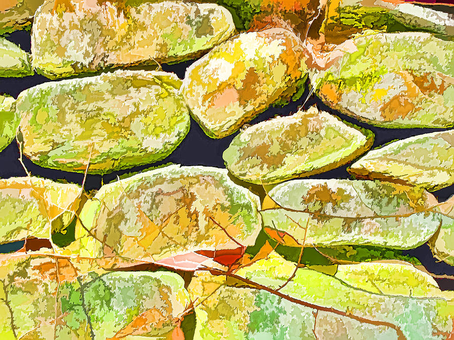 Stone wall closeup 1 Painting by Jeelan Clark