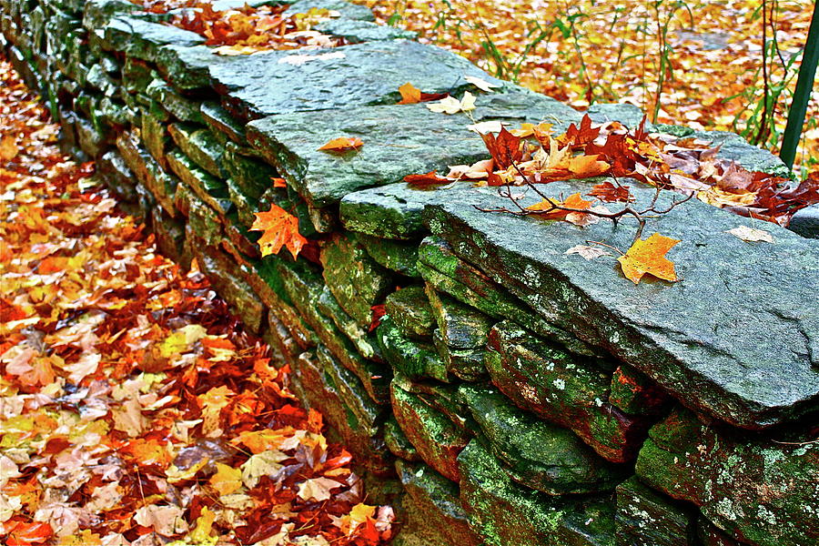 Stone Wall Photograph by Diana Hatcher