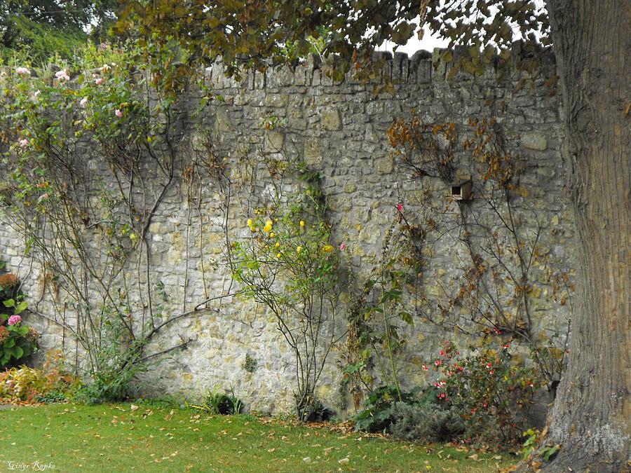 Stone Wall Photograph by Ginger Repke