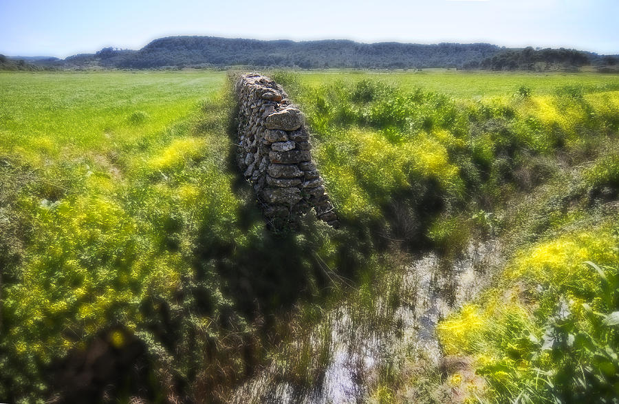 Stone Wall In Country Land Waiting For Nobody Photograph by Pedro Cardona Llambias