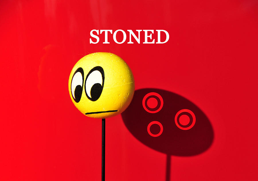 Stoned Photograph by David Lee Thompson