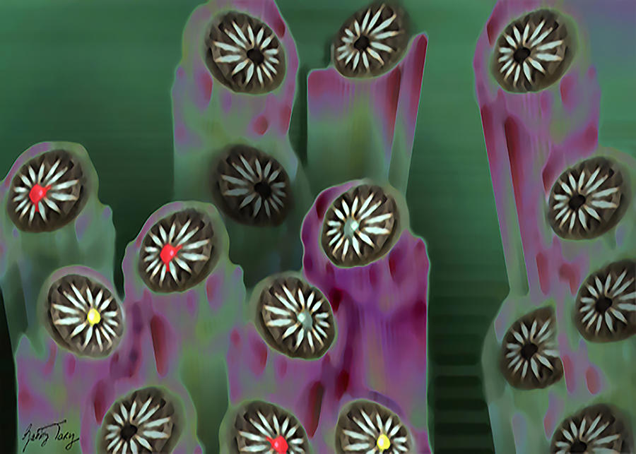 Stoned Flowers Digital Art by Gabby Tary