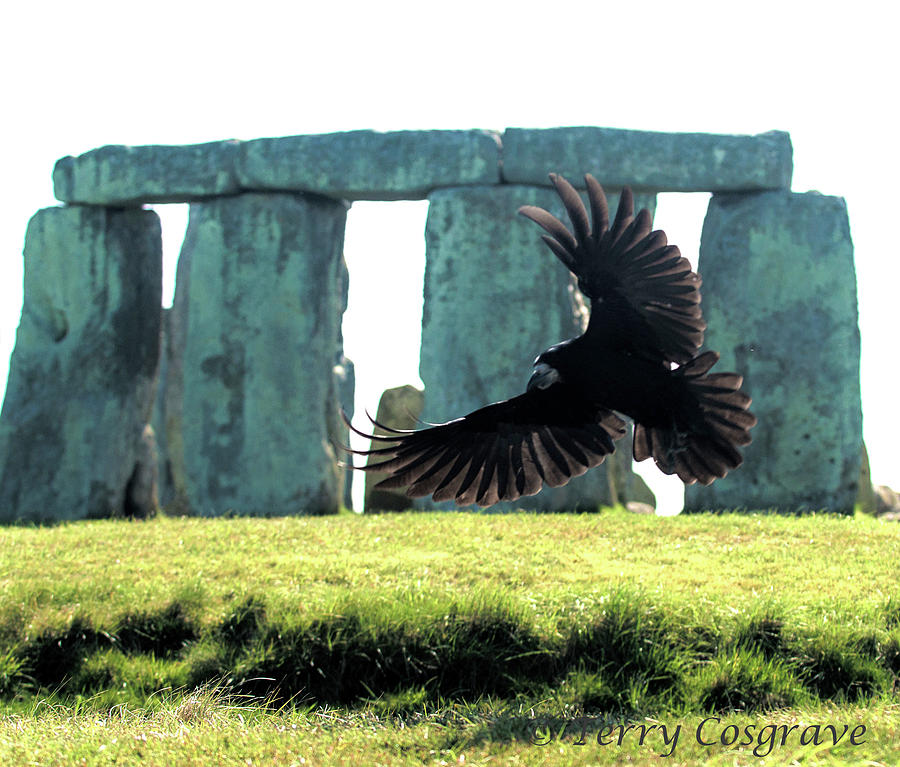 Stonehenge Crow Photograph by Terry Cosgrave