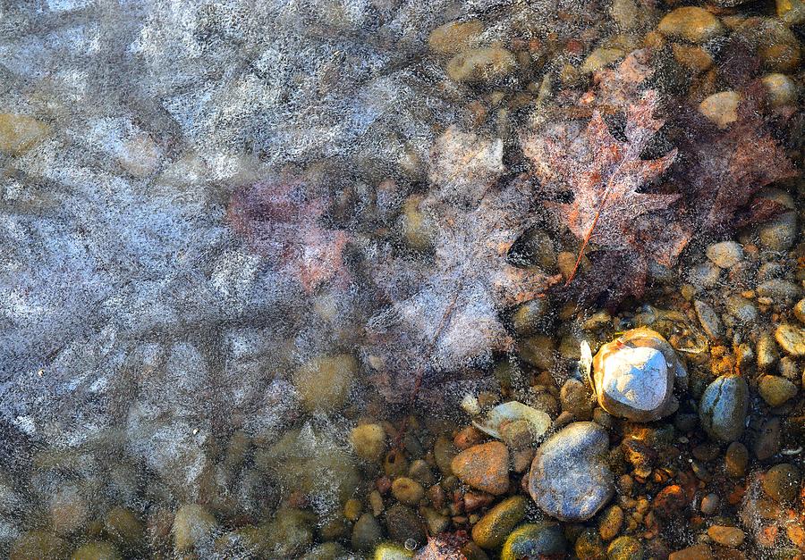 Stones And Leaves Under Ice Two  Digital Art by Lyle Crump