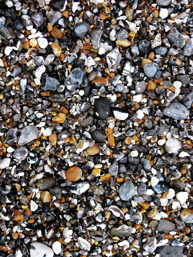 Stones on the beach Photograph by Tom Conway
