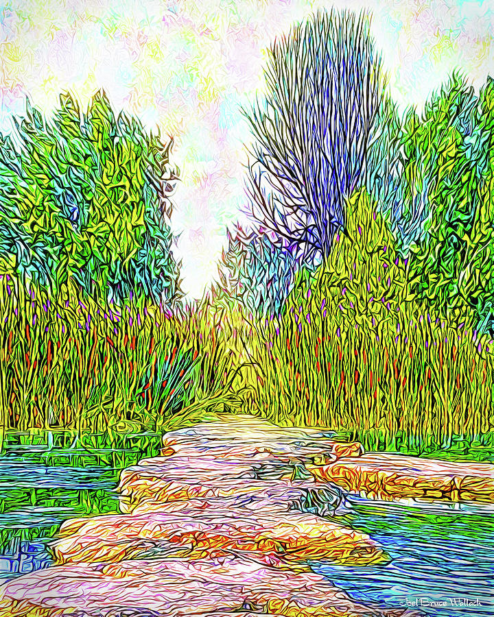 Tree Digital Art - Stones Over Water - Colorado Lake In Boulder County Park by Joel Bruce Wallach