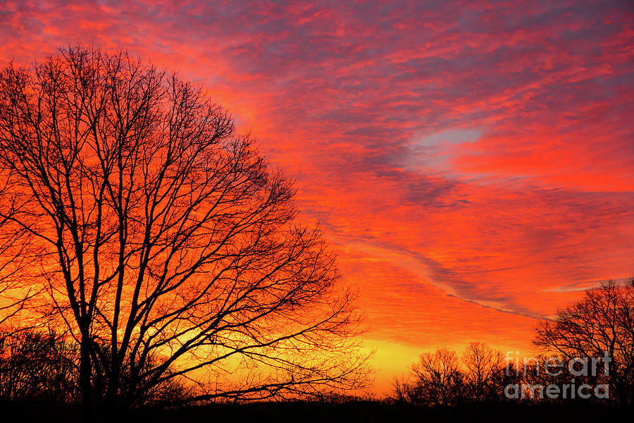 Stonington Sunrise Photograph by Joe Geraci