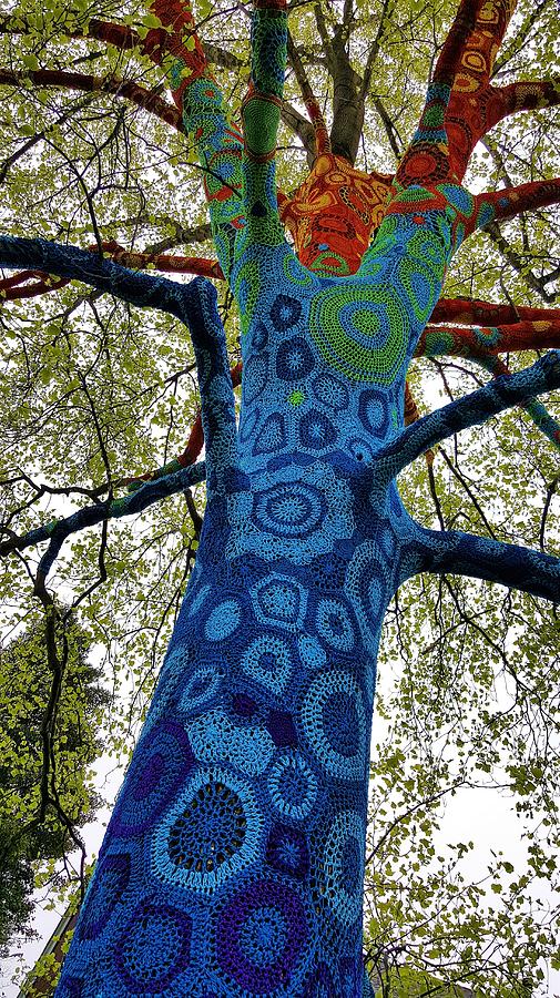 Stony Brook Crochet Tree Two Photograph by Rob Hans | Pixels