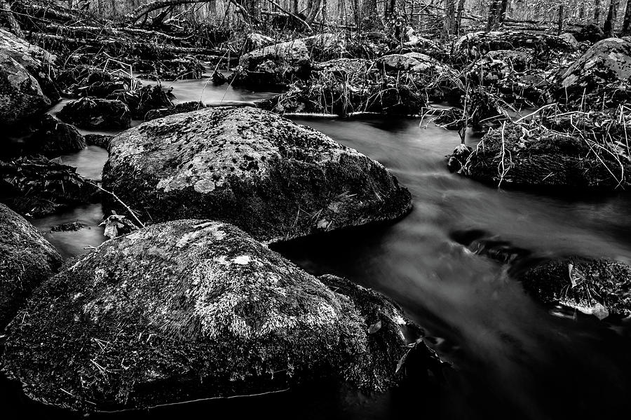 Stony Brook Photograph by Eddy Bernardo