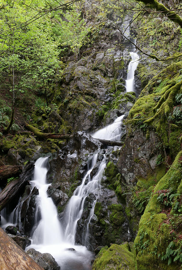 Stony creek falls  Photograph by Jeff Swan