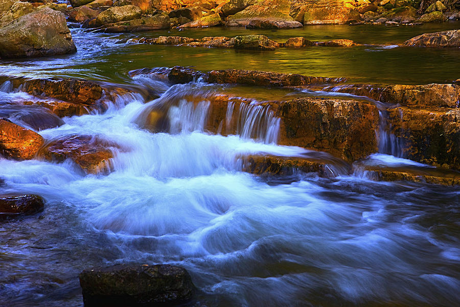 Stony Creek Jefferson National Forest Photograph by Jim Dohms