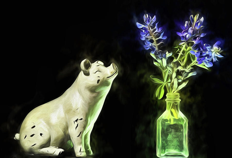 Stop and Smell the Bluebonnets Digital Art by JC Findley