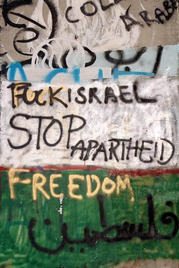 Stop Apartheid Photograph by Munir Alawi