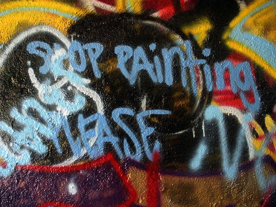 Baltimore Photograph - Stop Painting Please Graffiti Baltimore Maryland by Wayne Higgs