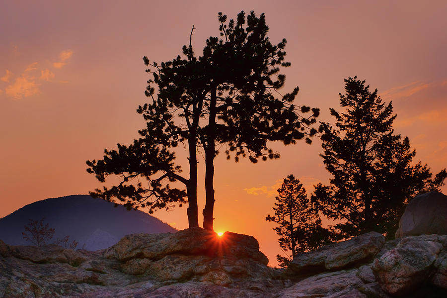 Rocky Mountain National Park Photograph - Stop Right Here - Rocky Mountain NP - Sunrise by Nikolyn McDonald