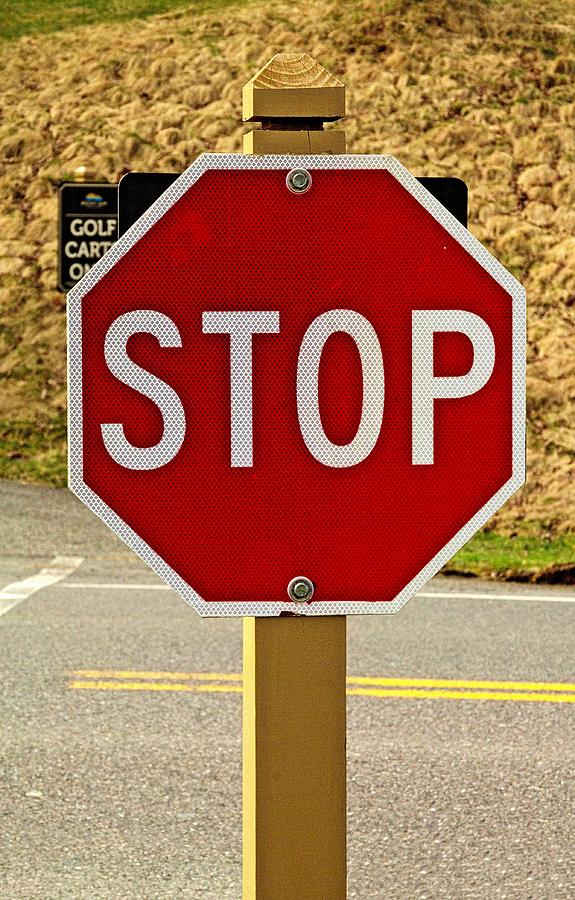 Stop sign Photograph by Karl Rose