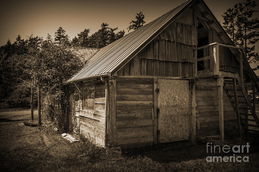Storage Shed In Sepia Photograph by Kirt Tisdale