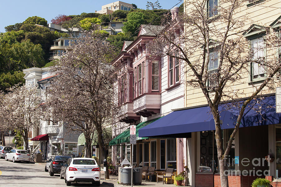 Stores and Restaurants on Bridgeway and Princess Street Sausalito California 5D2888 Photograph by San Francisco