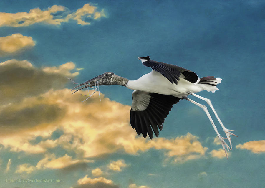 Stork Bringing Nesting Material Photograph by Richard Goldman