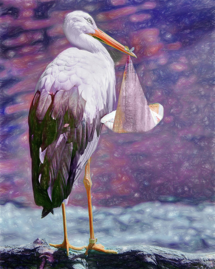 Stork with Baby - Purple Photograph by Nikolyn McDonald